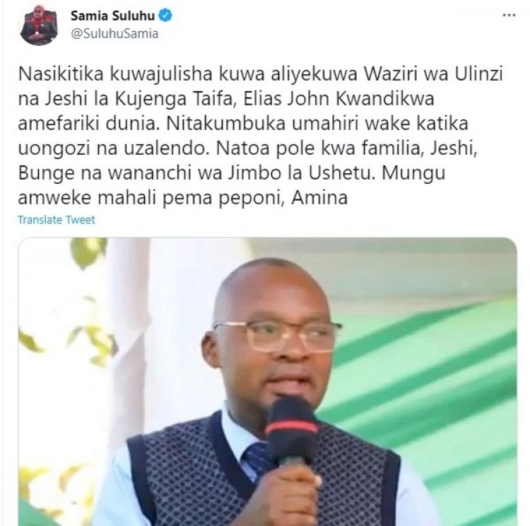 Tanzania: Minisitiri w’Ingabo yatabarutse