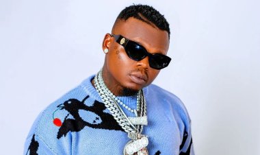 Harmonize yahagurukiye abitwikira ubujiji bwe bakarya ku byinjizwa n'ibihangano bye