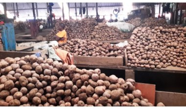 "Ibiciro by'ibiribwa biraza gusubira ku murongo" Perezida Kagame