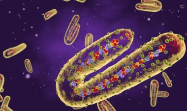 Mwirinde ingendo zitari ngombwa! RBC yashyizeho amabwiriza yo kwirinda icyorezo cya Marburg