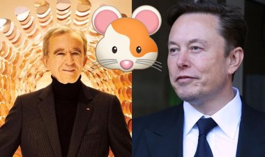 Elon Musk uhugiye mu mbwa yakubiswe inshuro