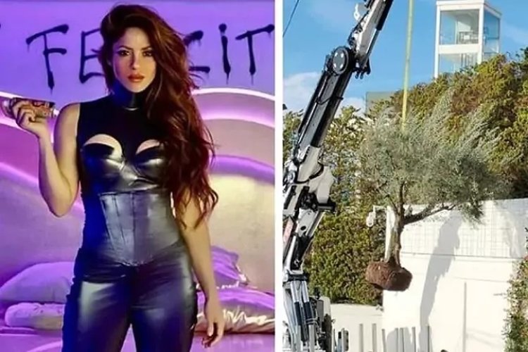 Igiti Shakira yimukanye gikomeje kuvugisha benshi