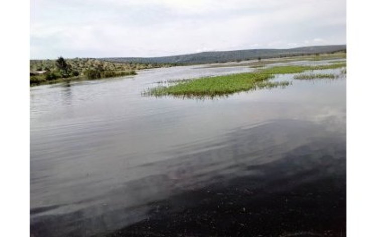 Umusaza bamurohoye agerageza kwiyahura bwa kane