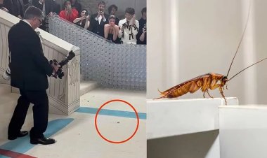 MET Gala 2023: Ikinyenzi ni cyo cyabanjirije ibyamamare kunyura ku itapi itukura