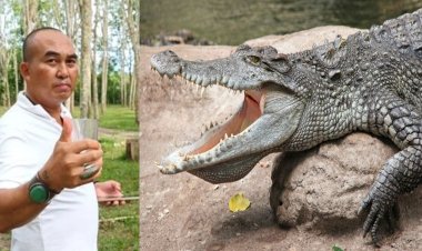 Thailand: Amaraso y'ingona aramaranirwa