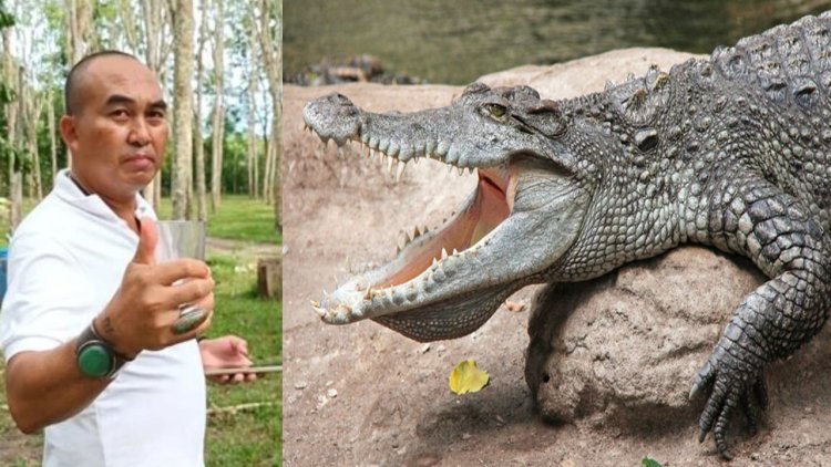 Thailand: Amaraso y'ingona aramaranirwa