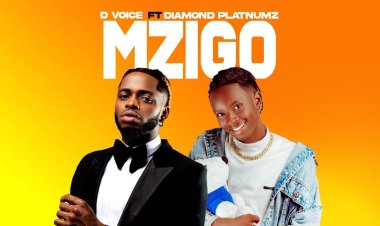 Umuhanzi D Voice yahishuye ikiguzi byamusabye ngo agere muri Wasafi