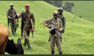 M23 Vs FARDC: Inkuru za rubaba zigezweho ku rugamba