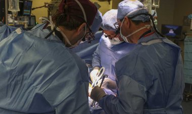 Bwa mbere umuntu yashyizwemo impyiko y'ingurube