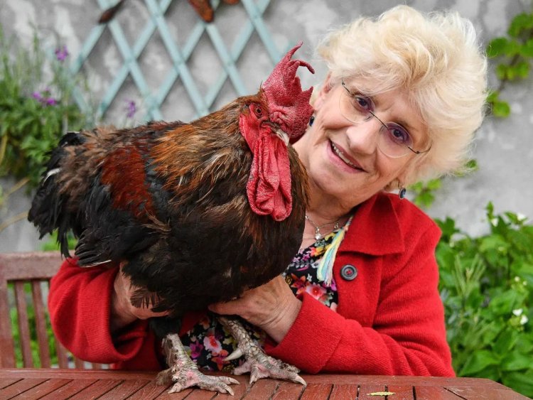 Mu Bufaransa isake yajyanywe mu nkiko