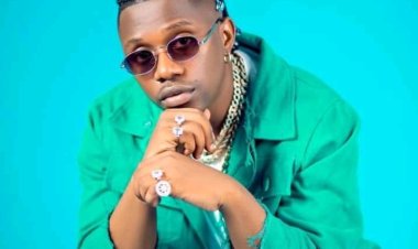 Rayvanny arimo gutakamba