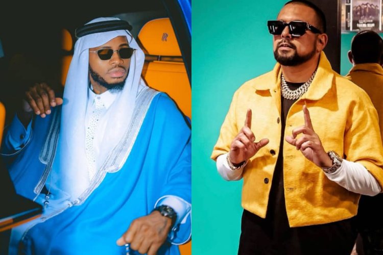 Ibyo Sean Paul yatangaje kuri Diamond byatumye abantu bacika ururondogoro