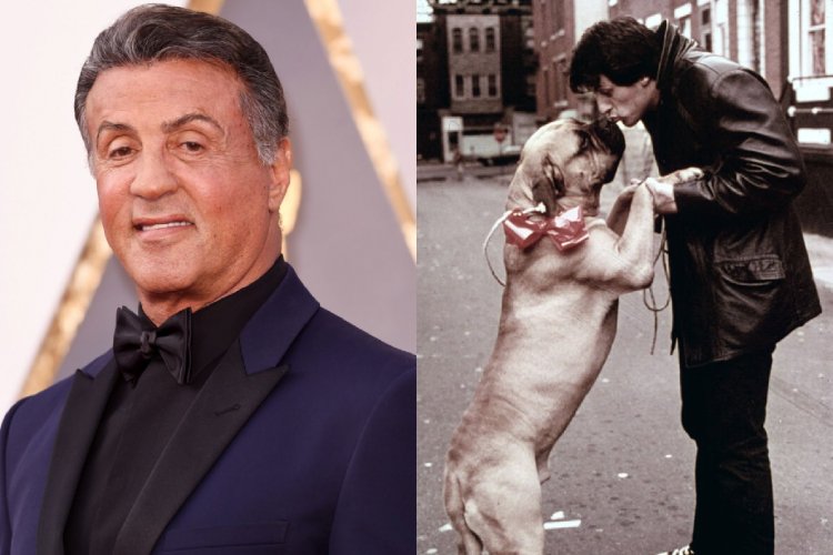 Menya byinshi kuri Dick Butkus imbwa Rambo afata nk'umwana we w'imfura