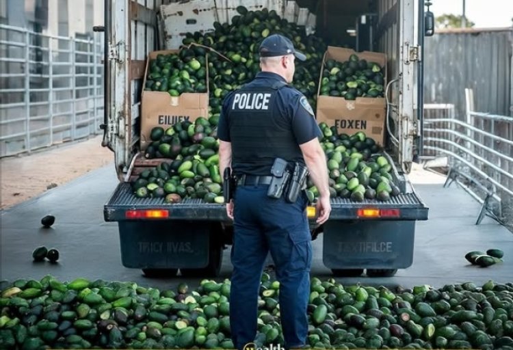 Texas: Polisi yafashe avoka zirenga ibihumbi 34 zari zibwe