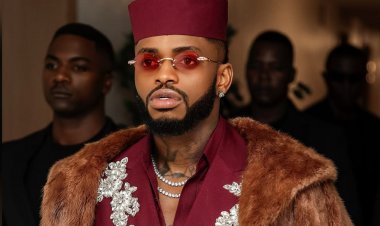 Diamond Platnumz yashoye arenga miliyoni 361Rwf mu gitaramo cya Summer Jam yakoreye muri Amerika