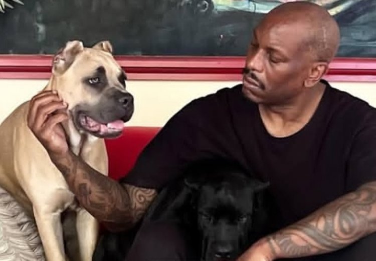 Umukinnyi wa filime Tyrese Gibson yatawe muri yombi azira imbwa ze 